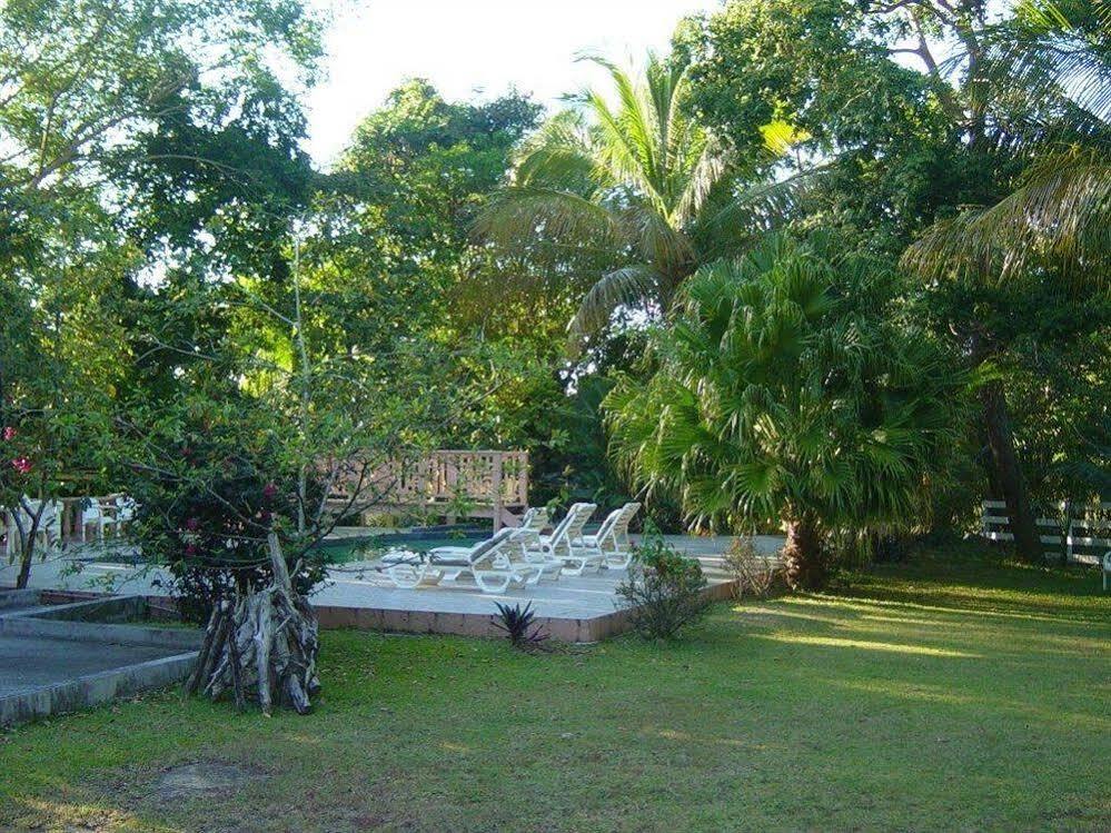 Icis Villas Brewers Bay Exterior foto
